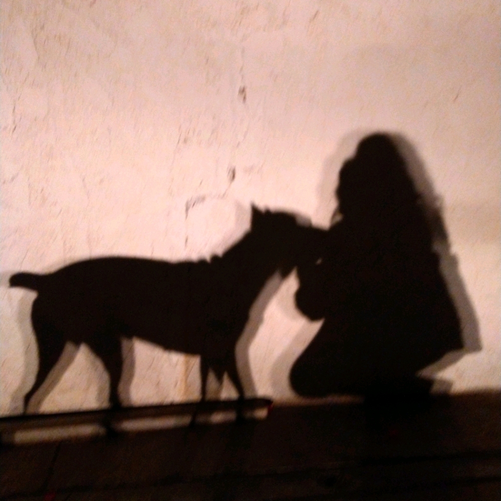 Meet your Posher, Tori